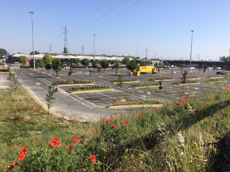 contiAssociati-CCBelpò-vistaparcheggio